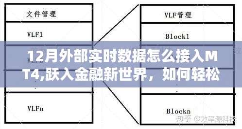 金融新世界探索，十二月MT4實時數據接入方法與策略