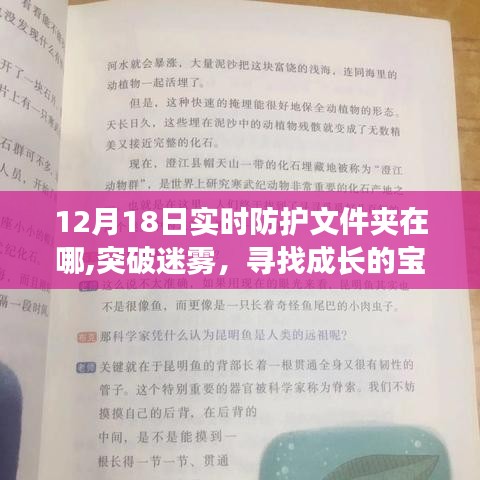 揭秘實(shí)時(shí)防護(hù)文件夾位置，成長(zhǎng)的寶藏與變化中的守護(hù)之地