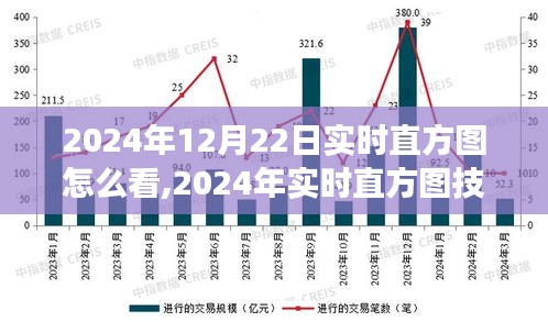 深度解析，如何解讀2024年12月22日市場走勢的直方圖應用與實時技術評測
