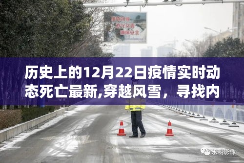 歷史上的十二月二十二日，疫情動態與自然的寧靜奇景之旅