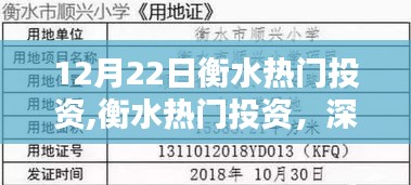 衡水熱門投資深度測評與介紹，最新動態(tài)及介紹