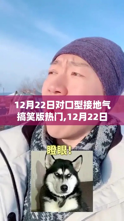 12月22日對(duì)口型接地氣搞笑版熱門全面評(píng)測與介紹，歡樂不停歇