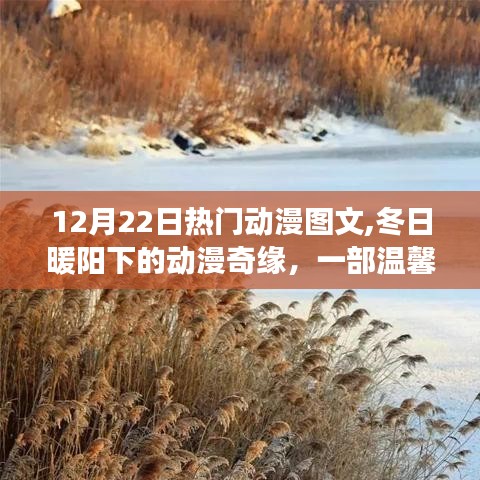 冬日暖陽下的溫馨動(dòng)漫奇緣，12月22日熱門動(dòng)漫圖文回顧