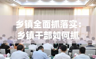 鄉鎮全面抓落實：鄉鎮干部如何抓工作落實 