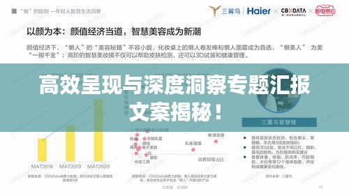 高效呈現(xiàn)與深度洞察專題匯報(bào)文案揭秘！