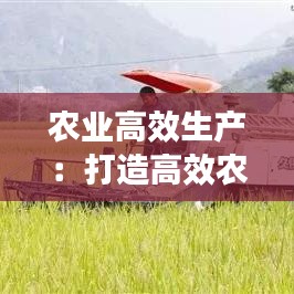 農(nóng)業(yè)高效生產(chǎn)：打造高效農(nóng)業(yè) 