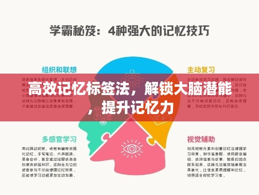 高效記憶標(biāo)簽法，解鎖大腦潛能，提升記憶力