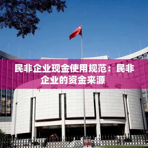 民非企業(yè)現(xiàn)金使用規(guī)范：民非企業(yè)的資金來(lái)源 