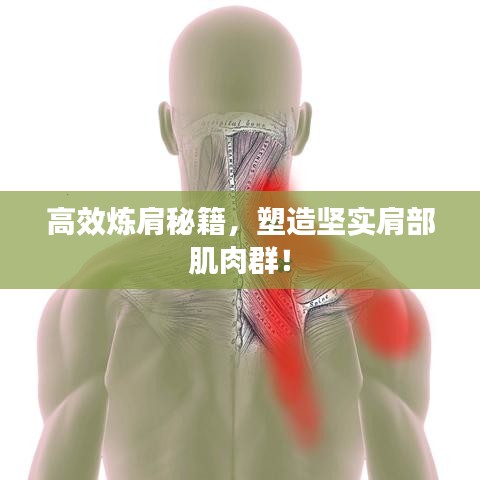 高效煉肩秘籍，塑造堅(jiān)實(shí)肩部肌肉群！
