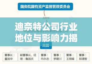 迪奈特公司行業地位與影響力揭秘，深度解析排名數據