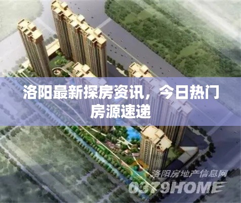 洛陽最新探房資訊，今日熱門房源速遞