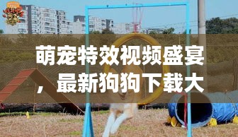 萌寵特效視頻盛宴，最新狗狗下載大全，一網打盡娛樂時光