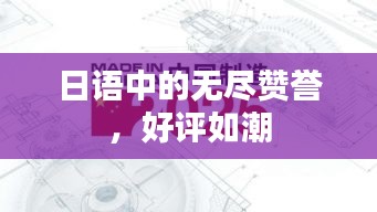 日語中的無盡贊譽，好評如潮