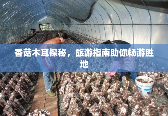 香菇木耳探秘，旅游指南助你暢游勝地