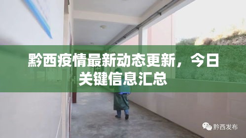 黔西疫情最新動態更新，今日關鍵信息匯總