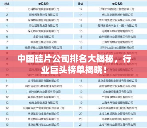 中國(guó)硅片公司排名大揭秘，行業(yè)巨頭榜單揭曉！
