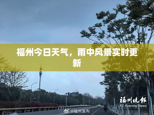 福州今日天氣，雨中風(fēng)景實(shí)時(shí)更新