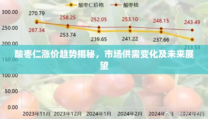 酸棗仁漲價趨勢揭秘，市場供需變化及未來展望