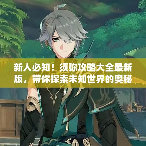 新人必知！須彌攻略大全最新版，帶你探索未知世界的奧秘