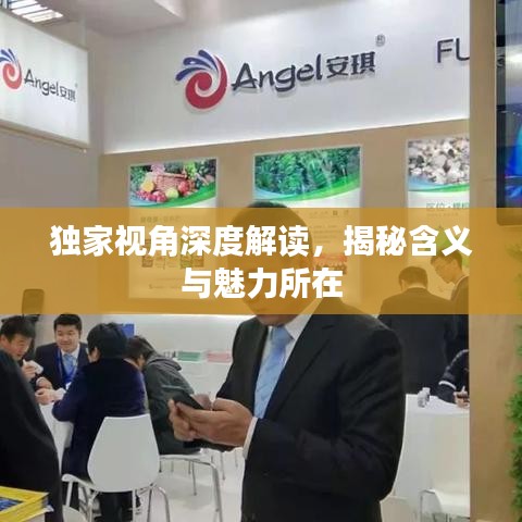 獨(dú)家視角深度解讀，揭秘含義與魅力所在