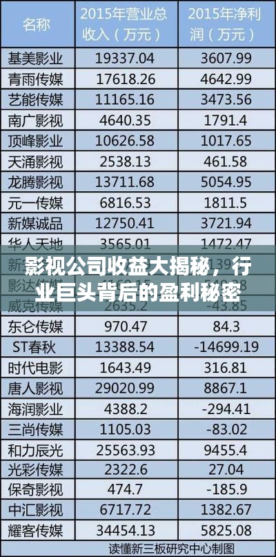 影視公司收益大揭秘，行業(yè)巨頭背后的盈利秘密排行榜！