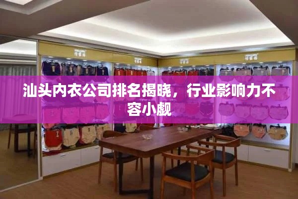 汕頭內衣公司排名揭曉，行業影響力不容小覷