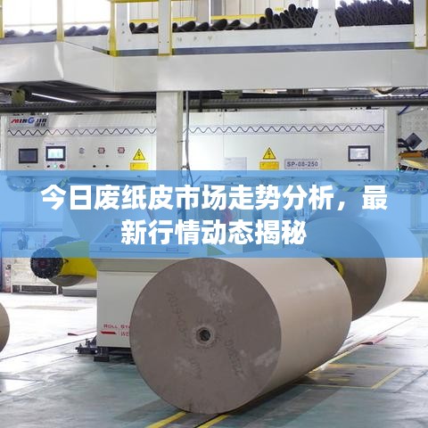 今日廢紙皮市場走勢分析，最新行情動態(tài)揭秘