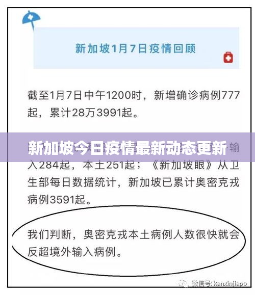 新加坡今日疫情最新動態(tài)更新