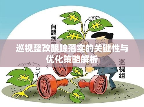 巡視整改跟蹤落實的關(guān)鍵性與優(yōu)化策略解析