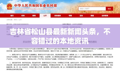 筆走龍蛇