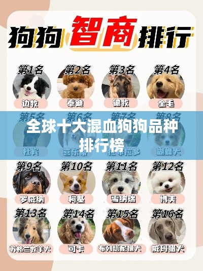 獨一無二