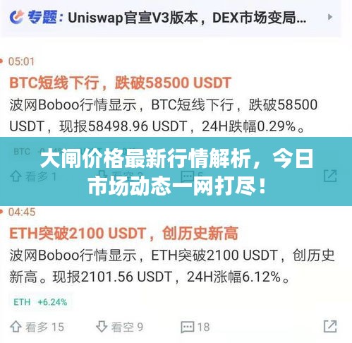 大閘價格最新行情解析，今日市場動態(tài)一網(wǎng)打盡！