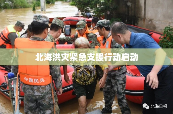 儀表堂堂