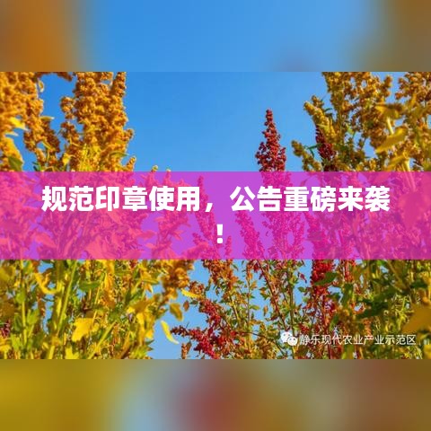 規(guī)范印章使用，公告重磅來(lái)襲！