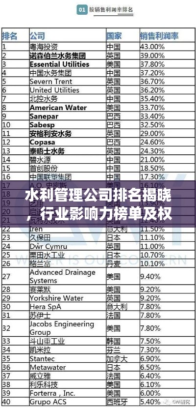 水利管理公司排名揭曉，行業(yè)影響力榜單及權(quán)威排名解析