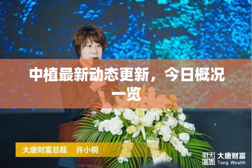 中植最新動(dòng)態(tài)更新，今日概況一覽