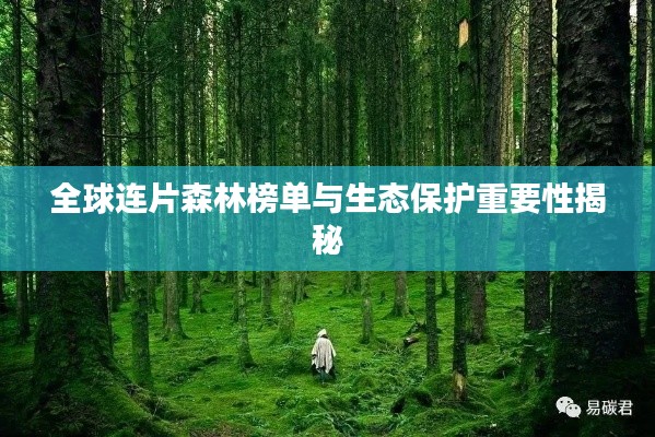 全球連片森林榜單與生態(tài)保護重要性揭秘