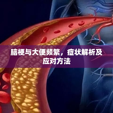 腦梗與大便頻繁，癥狀解析及應對方法