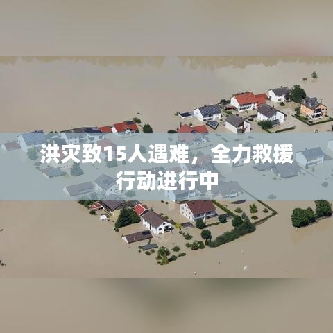 智慧社區(qū)SAAS運營服務 第6頁