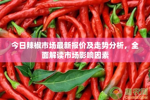 今日辣椒市場(chǎng)最新報(bào)價(jià)及走勢(shì)分析，全面解讀市場(chǎng)影響因素