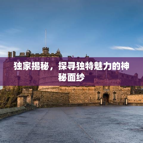 獨(dú)家揭秘，探尋獨(dú)特魅力的神秘面紗