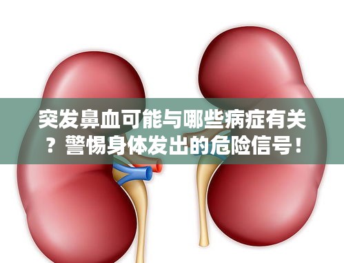 突發(fā)鼻血可能與哪些病癥有關？警惕身體發(fā)出的危險信號！