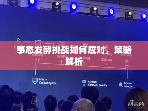 事態(tài)發(fā)酵挑戰(zhàn)如何應對，策略解析