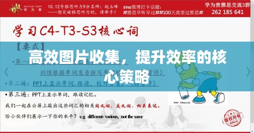 高效圖片收集，提升效率的核心策略