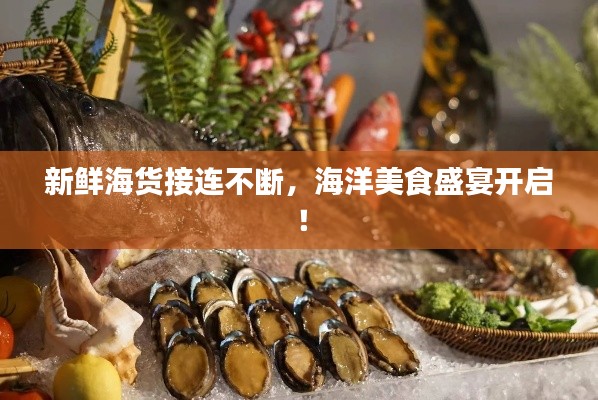新鮮海貨接連不斷，海洋美食盛宴開啟！
