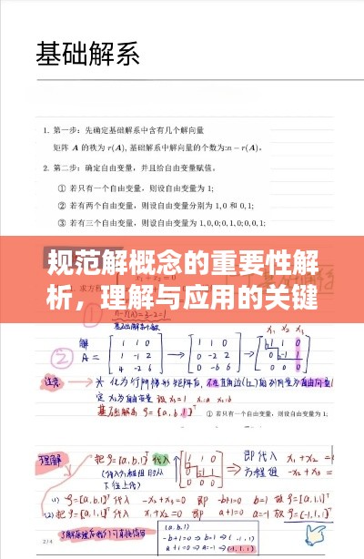 規范解概念的重要性解析，理解與應用的關鍵基石