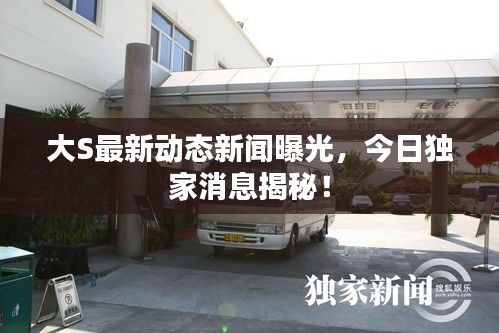 大S最新動態(tài)新聞曝光，今日獨家消息揭秘！