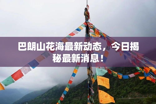 巴朗山花海最新動態，今日揭秘最新消息！