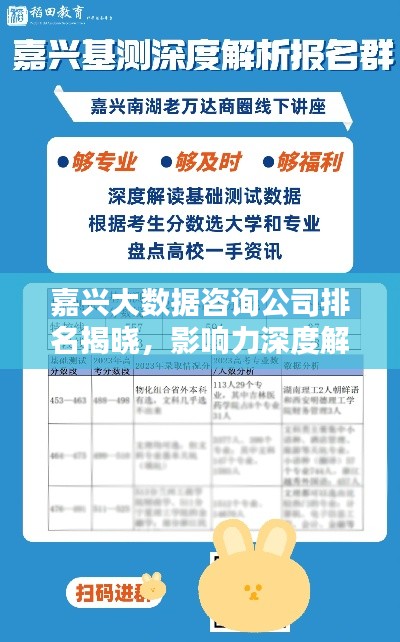 嘉興大數據咨詢公司排名揭曉，影響力深度解析