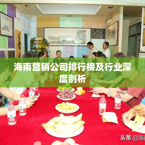 海南營(yíng)銷(xiāo)公司排行榜及行業(yè)深度剖析